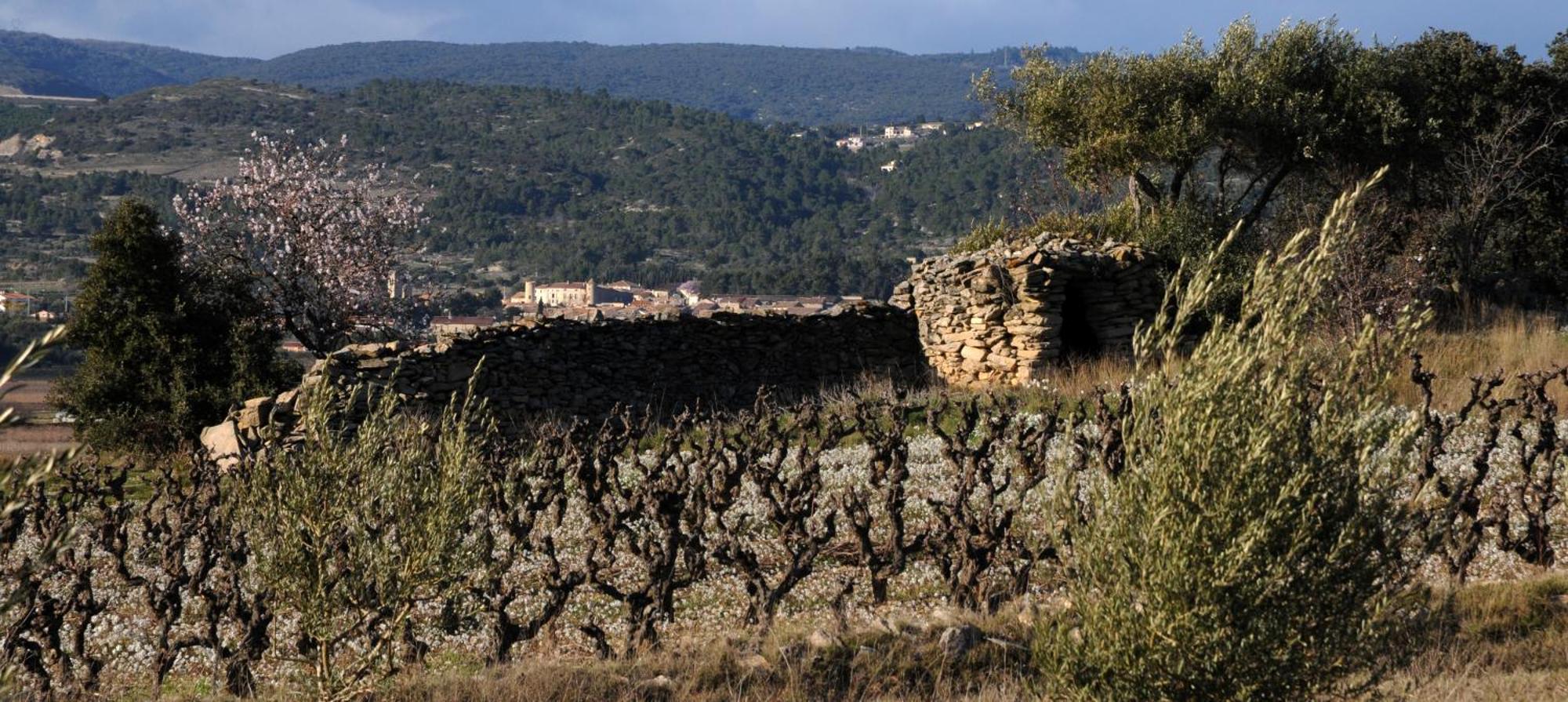 Maison Vigneronne De Bonne Maman - Climatisee Cesseras Exteriör bild